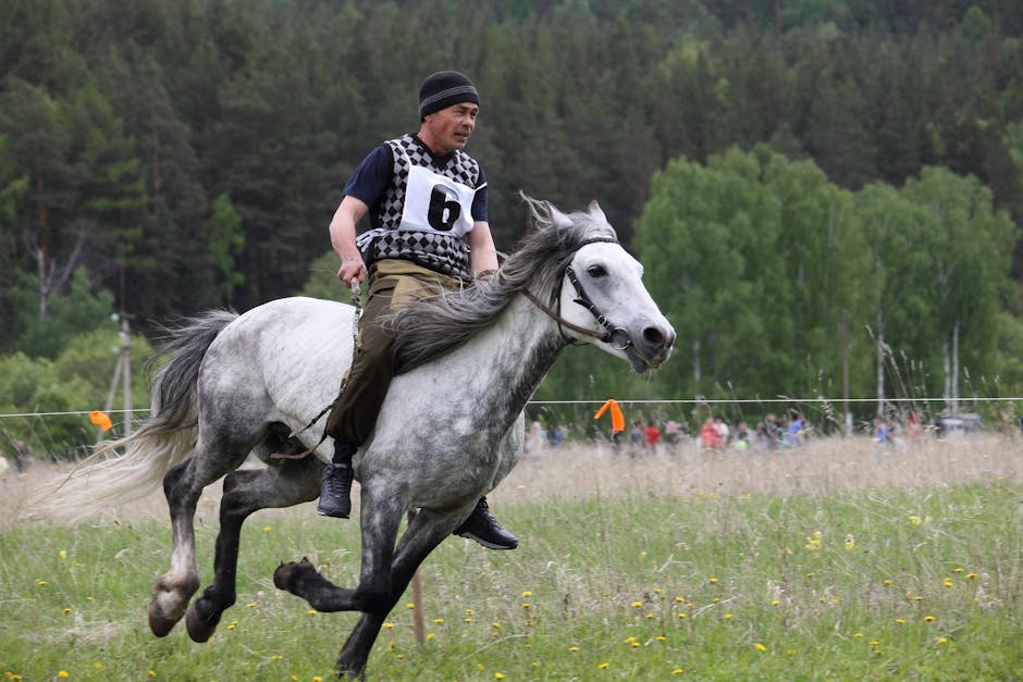 8 : img_6 - Speed and agility in finance