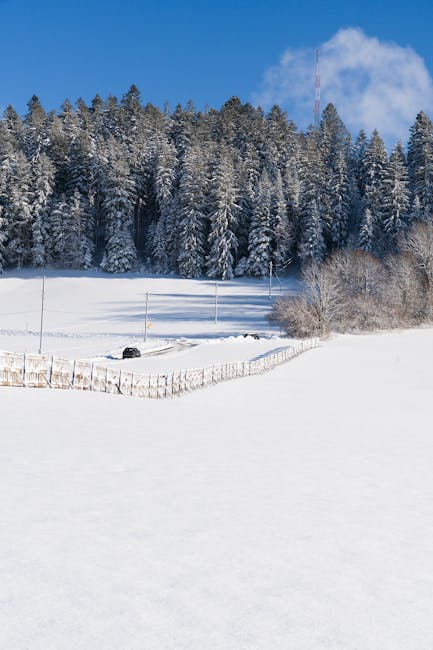 11 : img_9 - Transparent and clear financial landscape